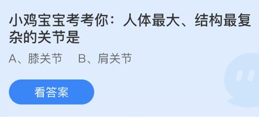 人体最大结构最复杂的关节是什么？蚂蚁庄园9.2今日答案最新