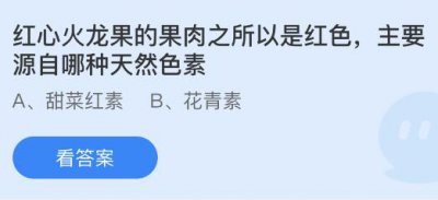 　　原标题：红心红龙果的果肉之所以是红色主