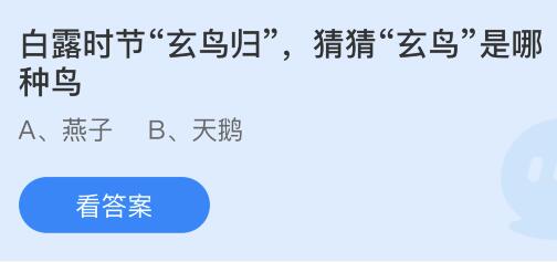 白露时节玄鸟归的玄鸟是指哪种鸟？蚂蚁庄园小鸡课堂最新答案9月8日