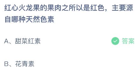 红心红龙果的果肉之所以是红色主要源自哪种天然色素？蚂蚁庄园9.13今日答案最新