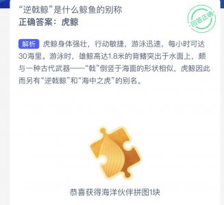 “逆戟鲸”是什么鲸鱼的别称？支付宝神奇海洋