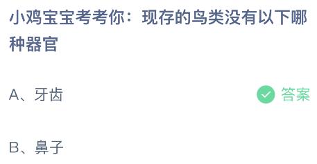 现存的鸟类没有以下哪种器官？蚂蚁庄园9.26今日答案最新