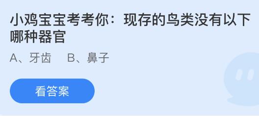 现存的鸟类没有以下哪种器官？蚂蚁庄园9.26今日答案最新