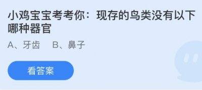 现存的鸟类没有以下哪种器官？蚂蚁庄园9.26答案