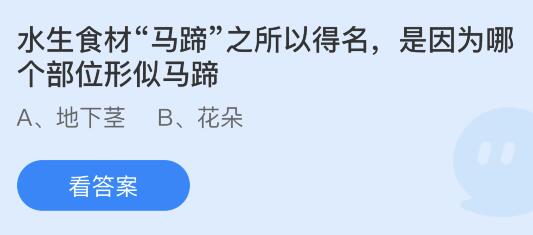 水生食材马蹄之所以得名是因为哪个部位形似马蹄？蚂蚁庄园小鸡课堂最新答案11月1日