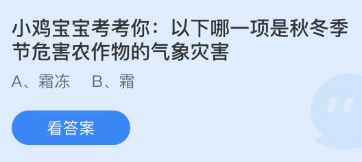 以下哪一项是秋冬季节危害农作物的气象灾害？蚂蚁庄园11.7今日答案最新