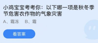 以下哪一项是秋冬季节危害农作物的气象灾害？