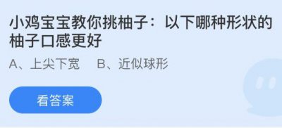 以下哪种形状的柚子口感更好？蚂蚁庄园11.9答案