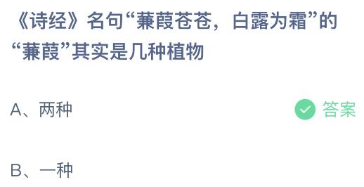 诗经名句蒹葭苍苍白露为霜的蒹葭其实是几种植物？蚂蚁庄园11.12今日答案最新