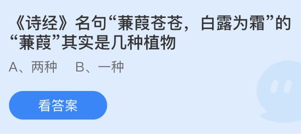 诗经名句蒹葭苍苍白露为霜的蒹葭其实是几种植物？蚂蚁庄园11.12今日答案最新