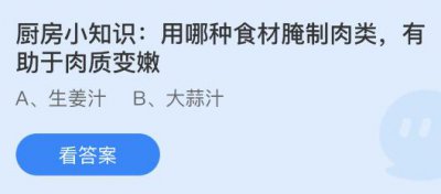 用哪种食材腌制肉类有助于肉质变嫩？蚂蚁庄园