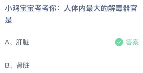 人体最大的解毒器官是什么？蚂蚁庄园11.25今日答案最新