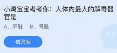 人体最大的解毒器官是什么？蚂蚁庄园11.25答案抢