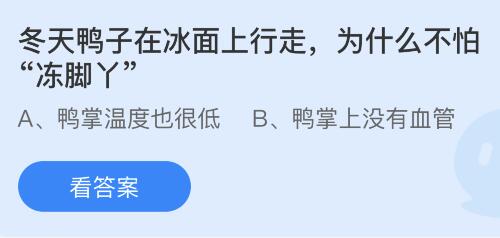 冬天鸭子在冰面上行走为什么不怕冻脚丫？蚂蚁庄园小鸡课堂最新答案11月28日