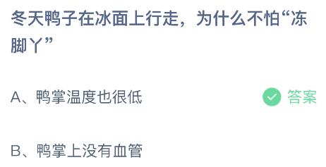 冬天鸭子在冰面上行走为什么不怕冻脚丫？蚂蚁庄园小鸡课堂最新答案11月28日