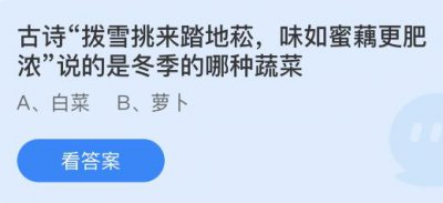 古诗拨雪挑来踏地菘味如蜜藕更肥浓说的是冬季