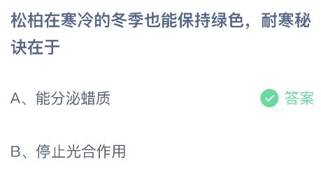 松柏在寒冷的冬季也能保持绿色耐寒秘诀在于什么？蚂蚁庄园1.24今日答案最新