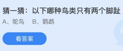 以下哪种鸟类只有两个脚趾？蚂蚁庄园3.13答案为