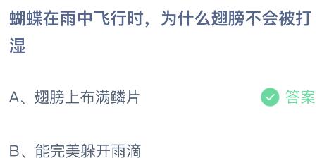 蝴蝶在雨中飞行时为什么翅膀不会被打湿？蚂蚁庄园小鸡课堂最新答案3月21日