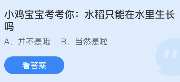 水稻只能在水里生长吗？蚂蚁庄园今日答案最新3.25