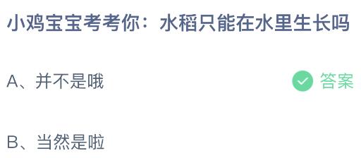 水稻只能在水里生长吗？蚂蚁庄园今日答案最新3.25