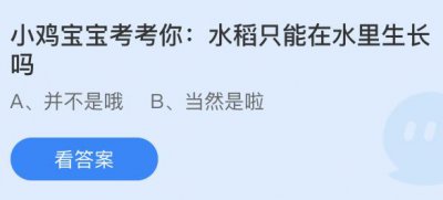 水稻只能在水里生长吗？蚂蚁庄园3.25答案先睹为