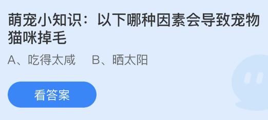 以下哪种因素会导致宠物猫咪掉毛？蚂蚁庄园小鸡课堂最新答案3月29日