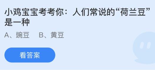 人们常说的“荷兰豆”是一种什么豆？蚂蚁庄园今日答案最新4.11