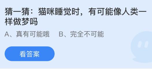 猫咪睡觉时有可能像人类一样做梦吗？蚂蚁庄园小鸡课堂最新答案4月11日