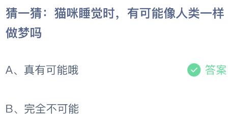 猫咪睡觉时有可能像人类一样做梦吗？蚂蚁庄园小鸡课堂最新答案4月11日