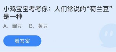 人们常说的“荷兰豆”是一种什么豆？蚂蚁庄园