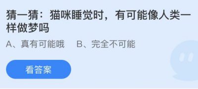 猫咪睡觉时有可能像人类一样做梦吗？蚂蚁庄园