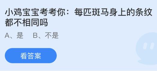 每匹斑马身上的条纹都不相同吗？蚂蚁庄园小鸡课堂最新答案4月13日