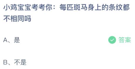 每匹斑马身上的条纹都不相同吗？蚂蚁庄园小鸡课堂最新答案4月13日