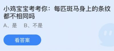 每匹斑马身上的条纹都不相同吗？蚂蚁庄园4.13答