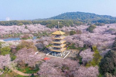 通苏嘉甬高铁特大桥A段      连续梁浇筑完成，长