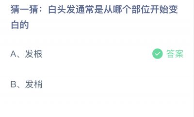 白头发通常是从哪个部位开始变白的？蚂蚁庄园