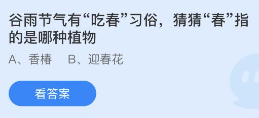 谷雨节气有“吃春”习俗的“春”指的是哪种植物？蚂蚁庄园今日答案最新4.19