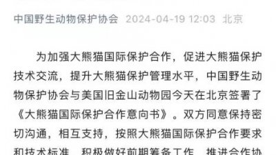 中国游客消费力重回旧金山第一 赴美旅游依然火