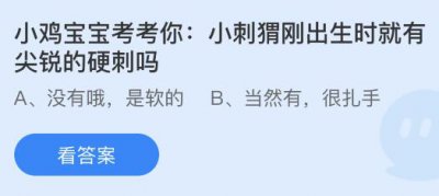 小刺猬刚出生时就有尖锐的硬刺吗？蚂蚁庄园5