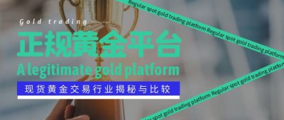 现货黄金交易平台哪个最正规？行业揭秘与比较