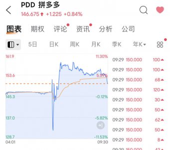 一季报业绩堪称炸裂 为何拼多多的利润增速犹如