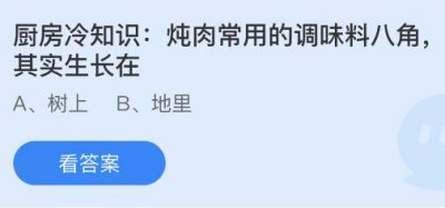 炖肉常用的调味料八角其实生长在哪里？蚂蚁庄