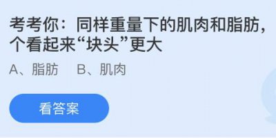 同样重量下的肌肉和脂肪哪个看起来“块头”更