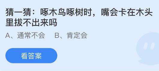 啄木鸟啄树时嘴会卡在木头里拔不出来吗？蚂蚁庄园小鸡课堂最新答案5月30日