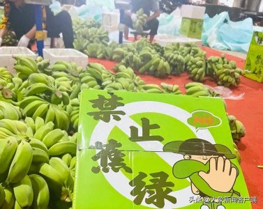 大厂员工离职后卖蕉绿月入200万 日售万单打印机