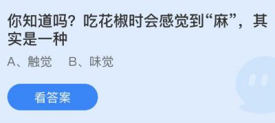 吃花椒时会感觉到“麻”其实是一种什么感觉？