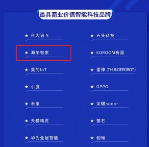 2024最具商业价值品牌发榜，海尔智家凭什么连上