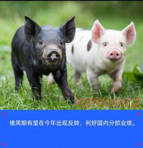 双汇兄弟冲刺美国IPO 火腿肠也要出海？