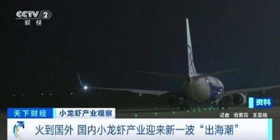 宵夜“顶流”小龙虾走出国门，火到国外了！企